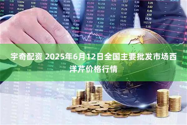 宇奇配资 2025年6月12日全国主要批发市场西洋芹价格行情