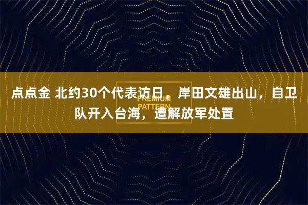 点点金 北约30个代表访日，岸田文雄出山，自卫队开入台海，遭解放军处置