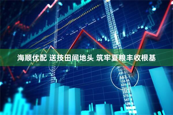 海顺优配 送技田间地头 筑牢夏粮丰收根基